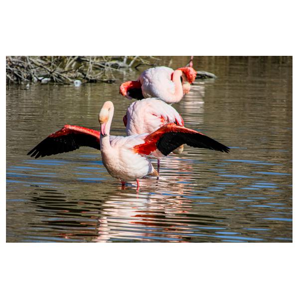 PHOTO84, CLUB, 84 , LUBERON